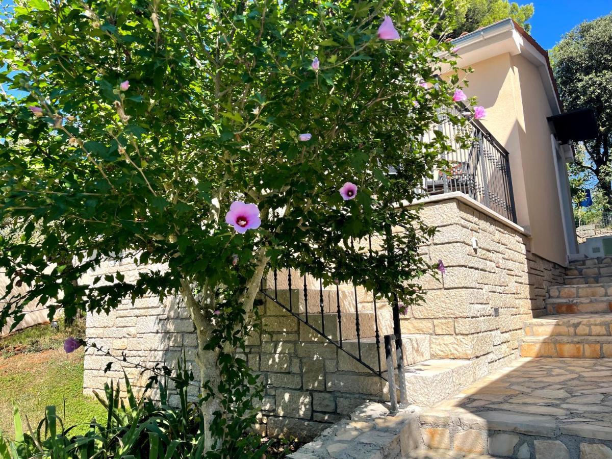 Villa Kos Rovinj Apartments エクステリア 写真